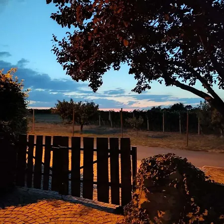 Ubytovani V Soukromi Na Sadove 906 - Valtice Exterior foto