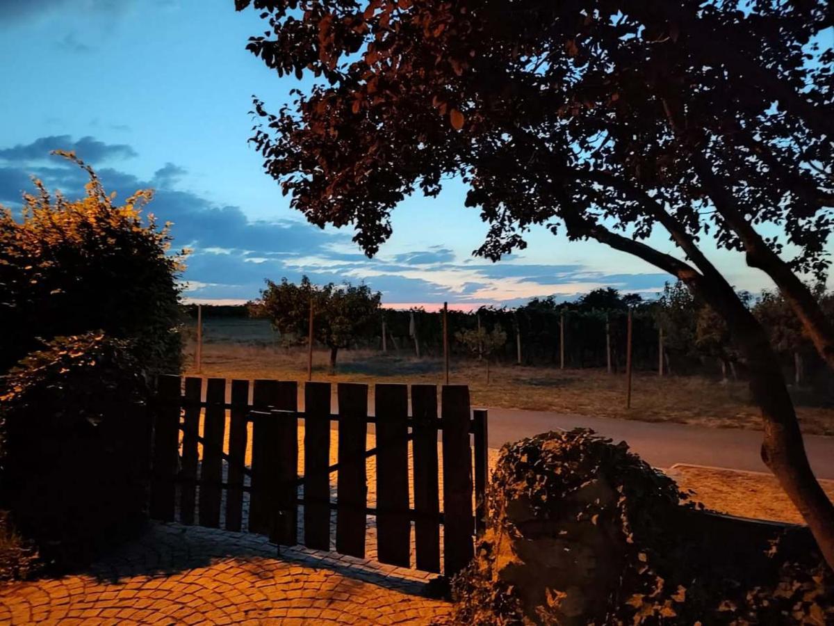 V Soukromi Na Sadove 906 - Homestay Valtice